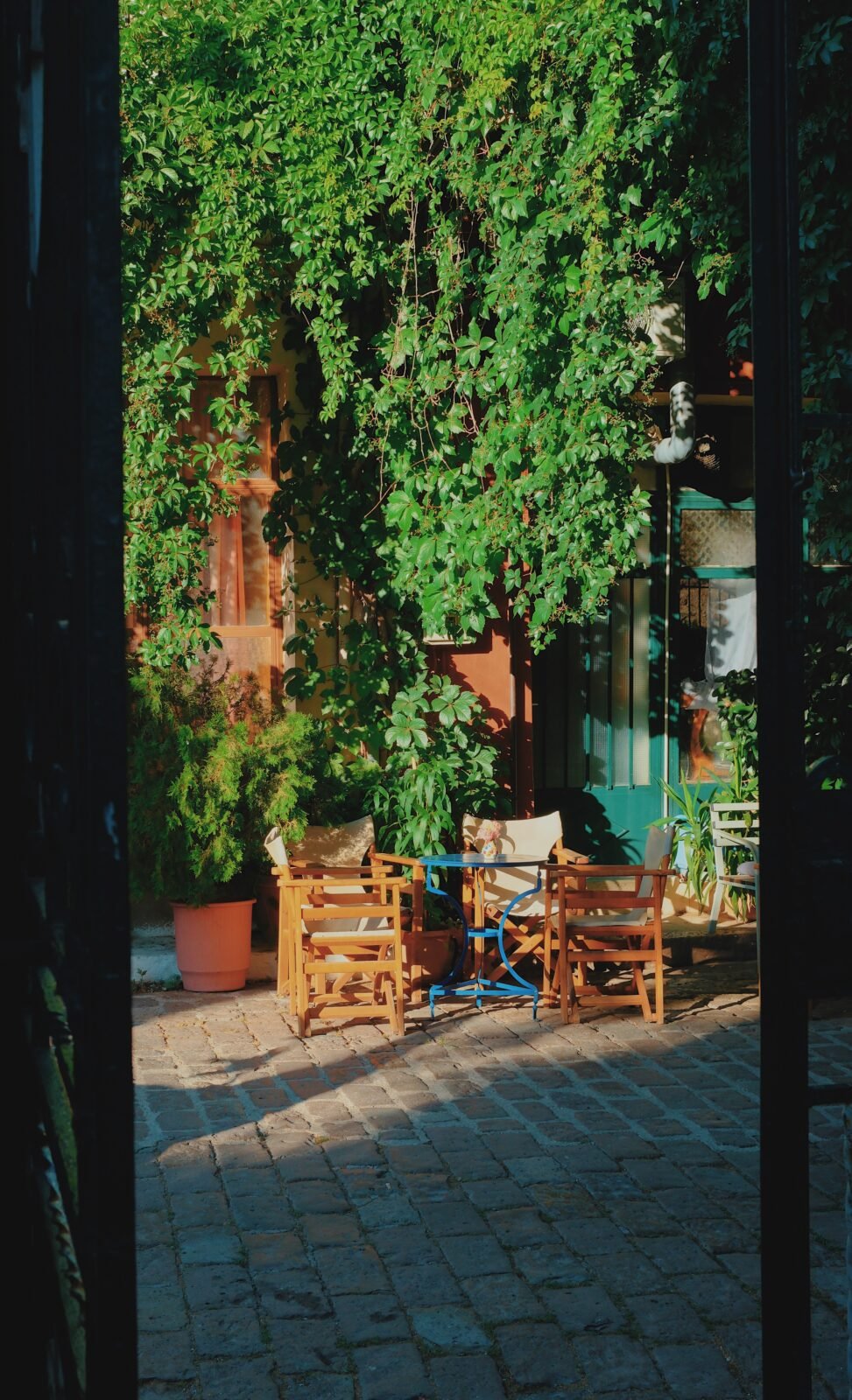Cafe chairs with hanging plants from the ceiling and wall in Mantamados, Lesvos