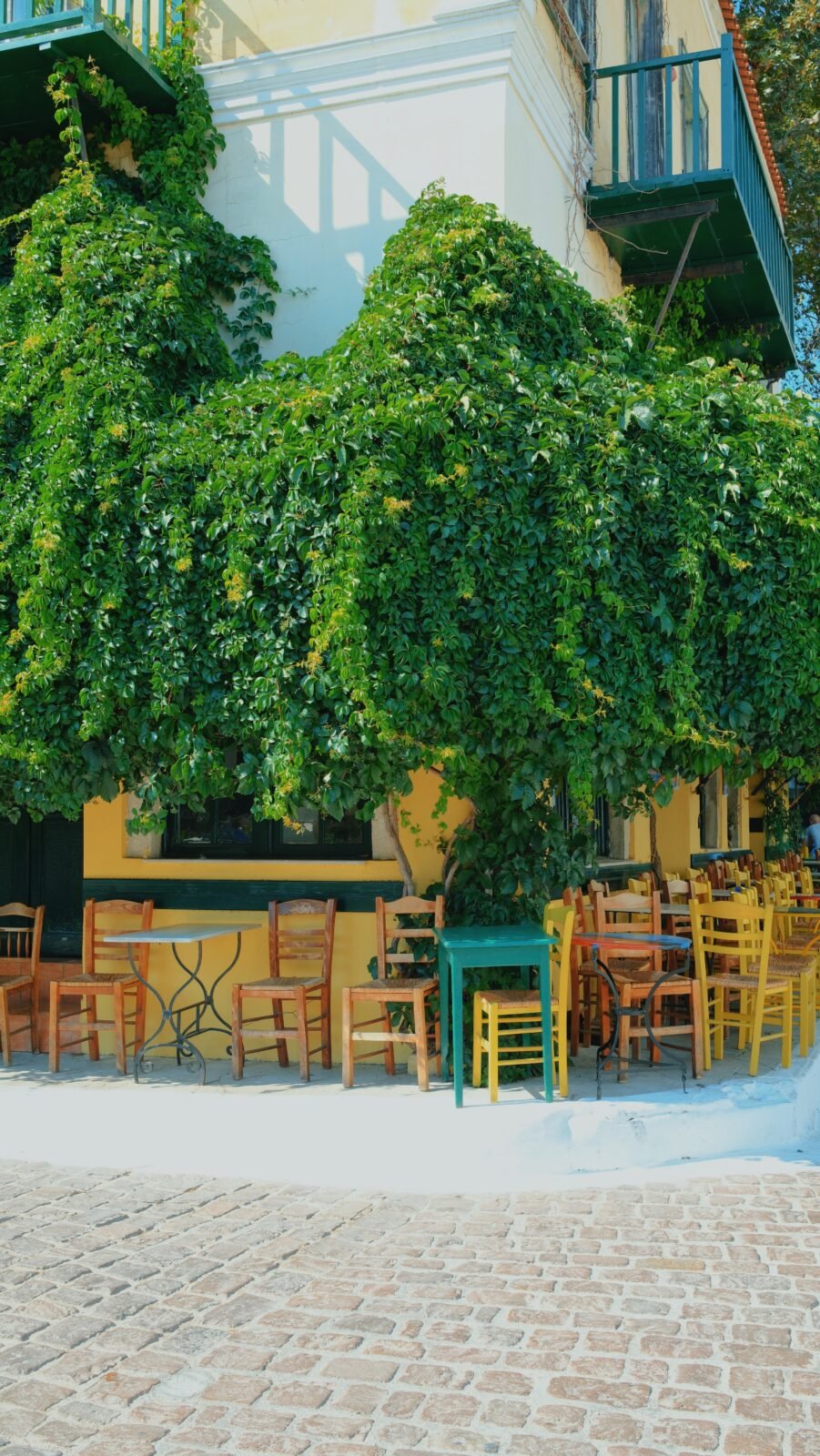 A quiet café in Plomari, Lesvos, with stacked wooden chairs and lush green plants hanging overhead, creating a calm and slightly rustic atmosphere.
