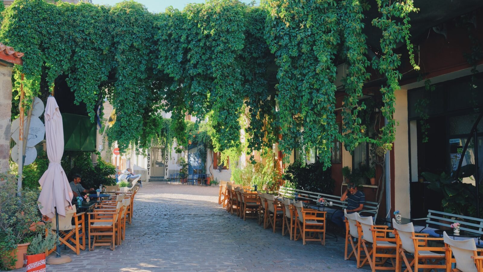 Outdoor seating at To Centro 1904 café in Mantamados, Lesvos, with lush hanging plants.