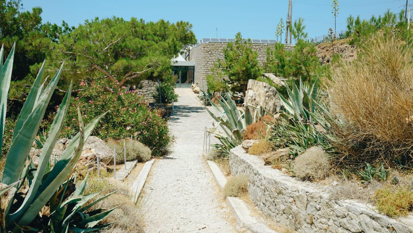 Outdoor museum at the Petrified Forest of Sigri, Greece