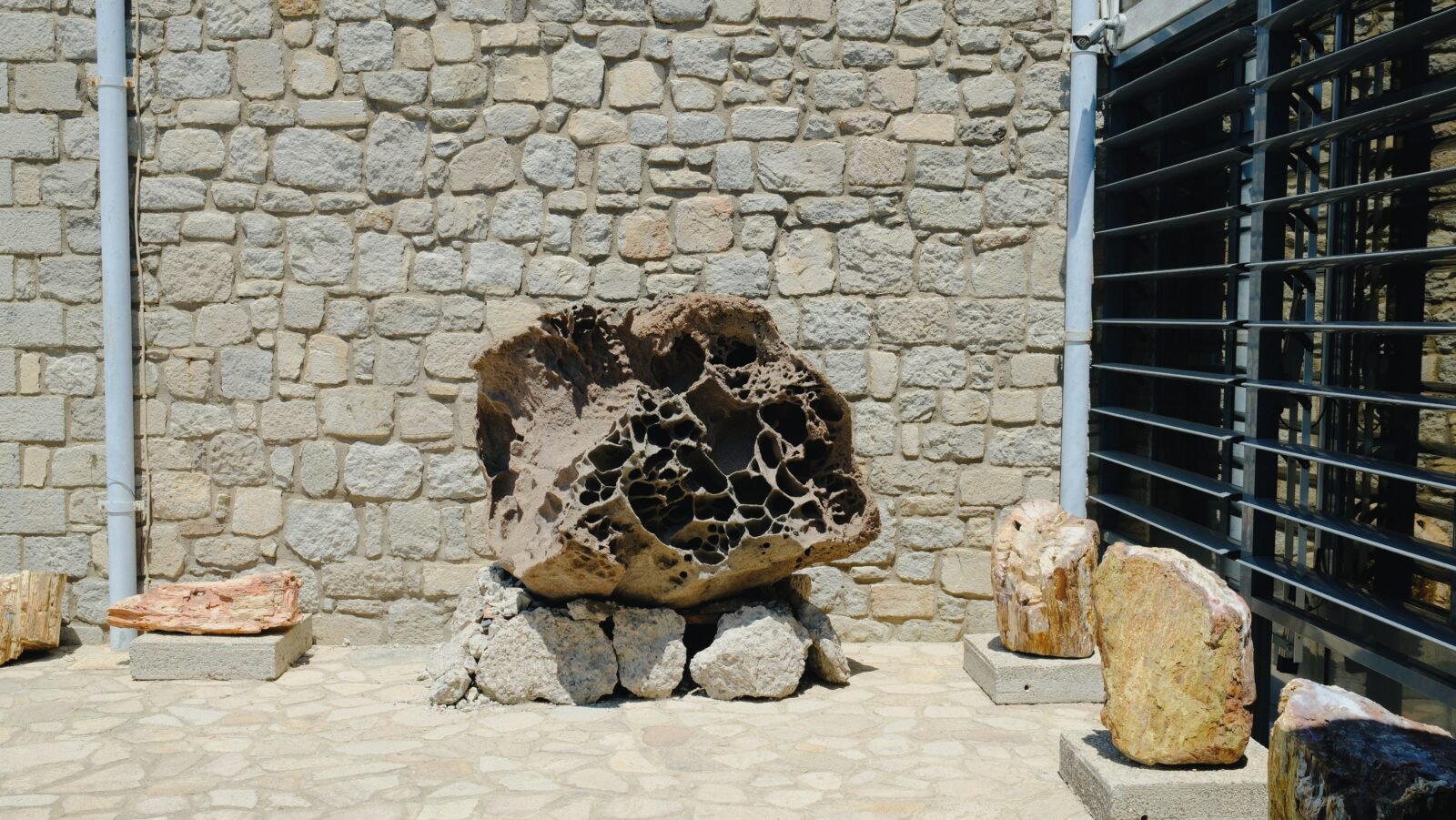 Petrified trees in the Petrified Forest of Lesvos, a UNESCO Global Geopark in Greece.